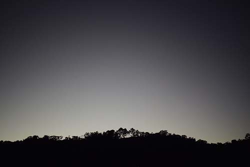 grey silhouette photography of mountain forest