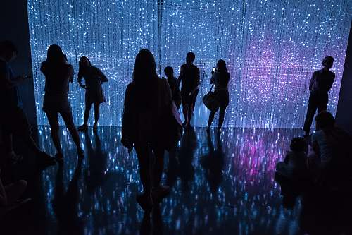 human silhouette photography of people person