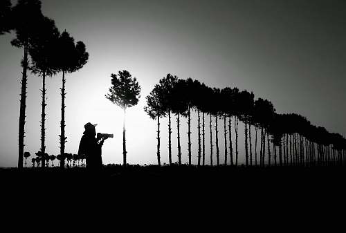 black-and-white silhouette photography of person standing near trees plant