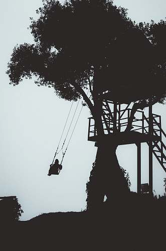 human silhouette photography of person swinging under the tree person