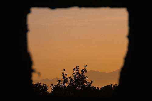 outdoors silhouette photography of tree nature