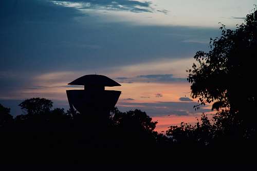 nature silhouette photography of trees outdoors