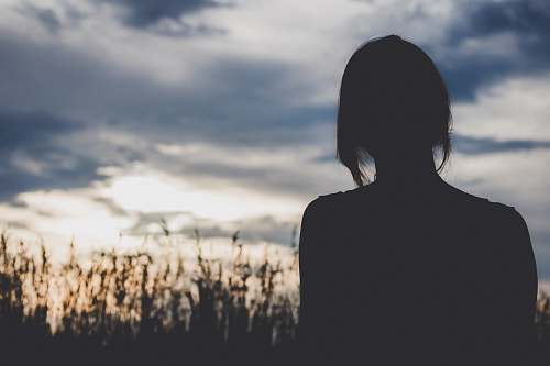 human silhouette photography of woman in front of wheat plants person