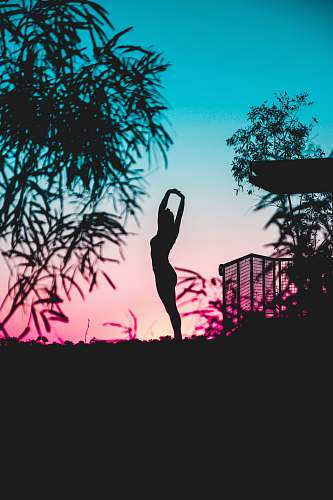 australia silhouette photography of woman standing near tree yoga