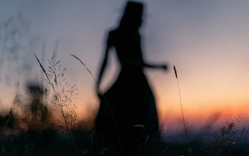 grass silhouette photography of woman standing on grass field plant