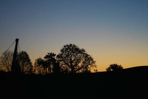 nature silhouettes of trees outdoors