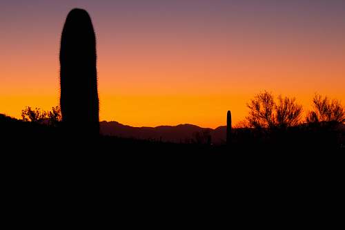 nature sunset photograph outdoors