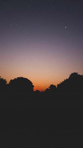 outdoors trees during sunset dawn