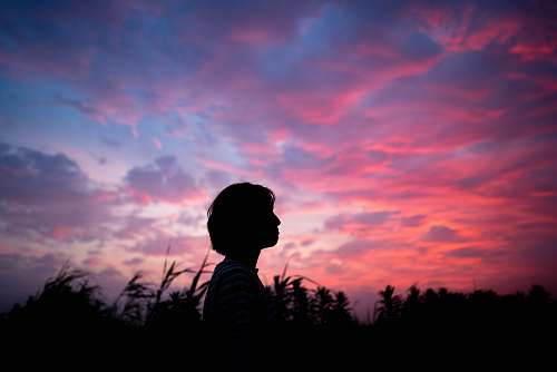 nature woman standing near the field sunset
