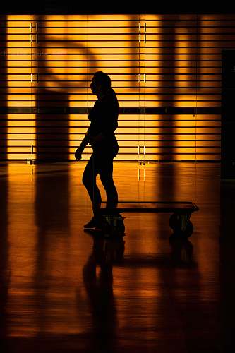human woman using pushcart person