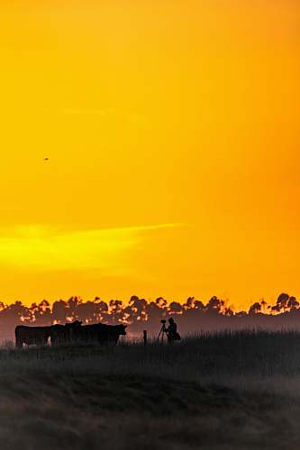 sunrise  sunset