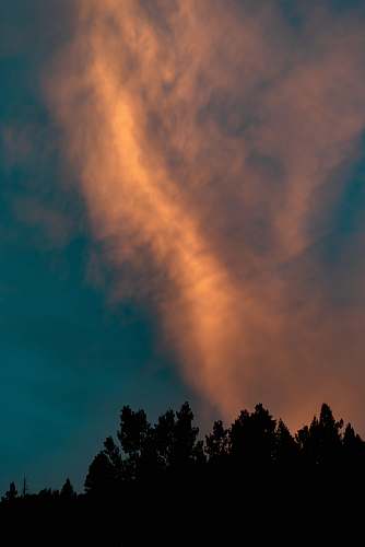 cloud tree silhouette under orange clouds weather
