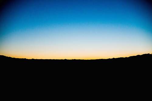 dusk silhouette photo of forests during golden hour dawn