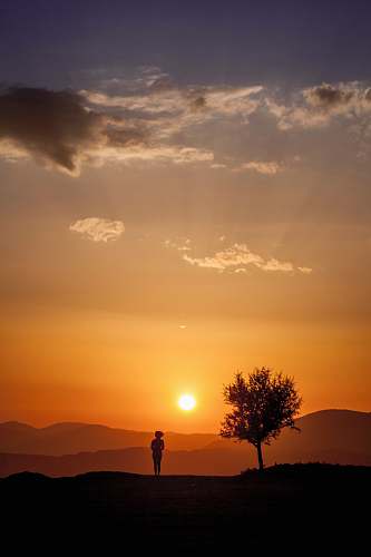 sky silhoutte of person in sunset tree