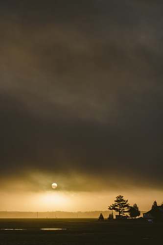 clouds silhouette of trees during golden hour trees