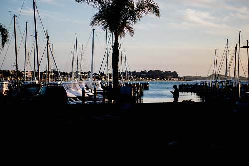 marina boat lot on body of water dock