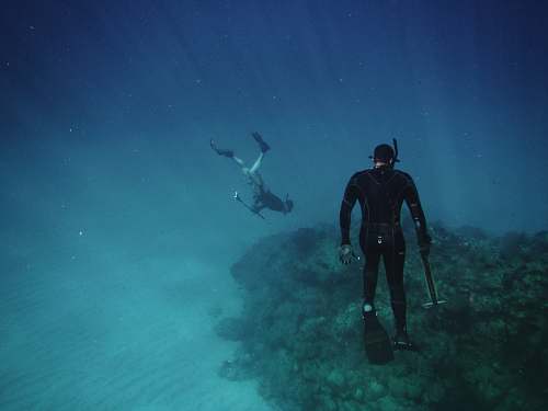 diving men freediving on coral reefs water