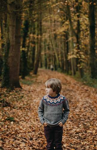 person boy with hands in his pockets looking at his left near trees during autumn season people