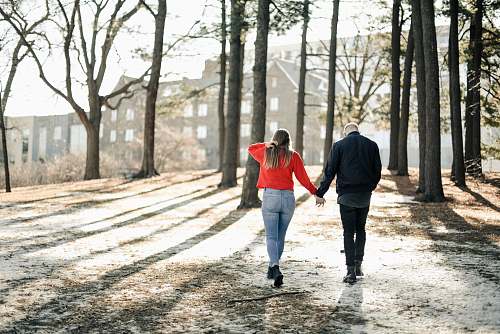 people couple holding hands while walking near brown trees during daytime person