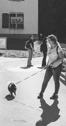 people greyscale photo of woman walking the dog black-and-white