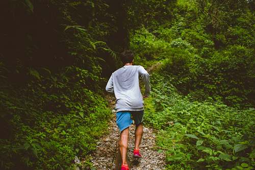 people man running in forest person