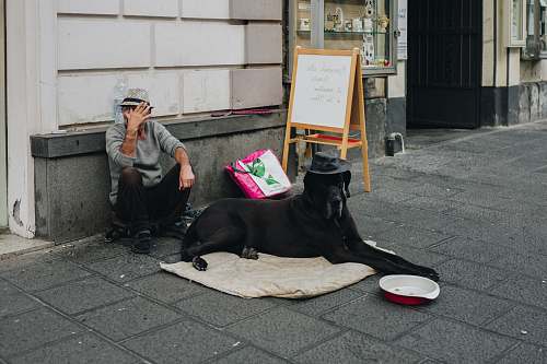 people man sitting beside the dog person
