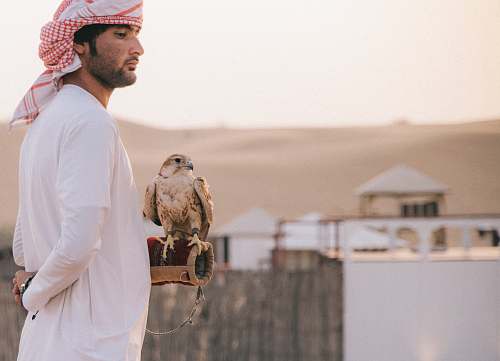 people man standing beside eagle during daytime person
