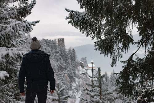 people man standing near trees person