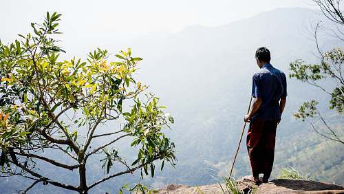 people man standing on mountain cliff beside green leaf plant during daytime person