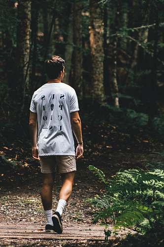 people man walking near green leafed trees person