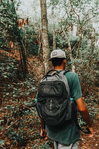 people man walking on forest person