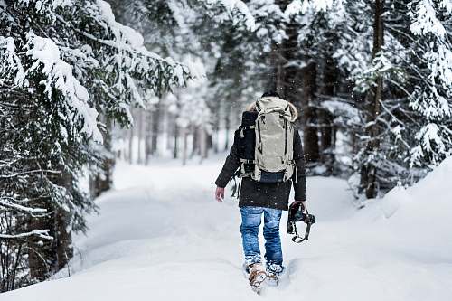 people man walking on snow near pine trees covered by snow during daytime person