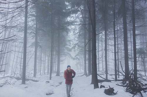 people person standing near bare tree during snowy day person