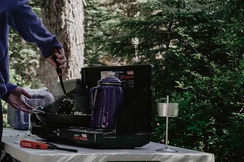 people purple electric kettle on stove person