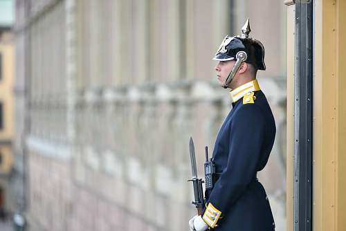 people royal guard holding rifle person