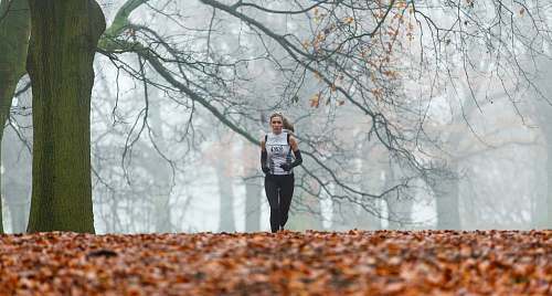 person running woman under bare tree during daytime people