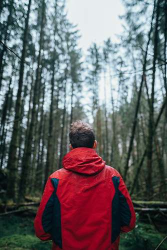 people tilt-shift photography of man standing surrounded by trees during daytime person