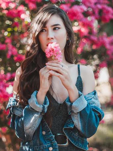 people woman holding pink flower person