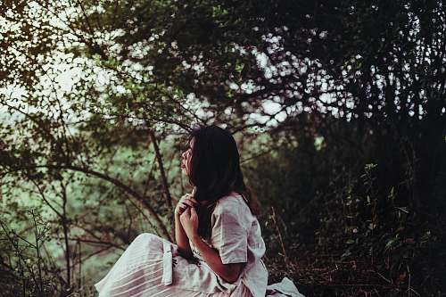 person woman sitting beside tree people