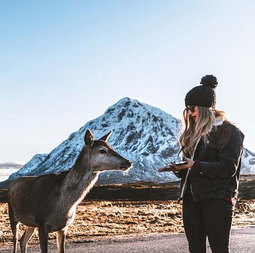 people woman standing beside doe person