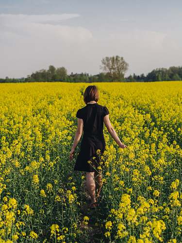 people woman walking in yellow flower field person