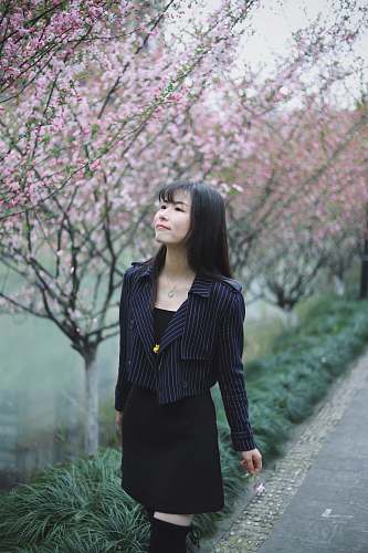 person woman walking on a road with cherry blossoms people