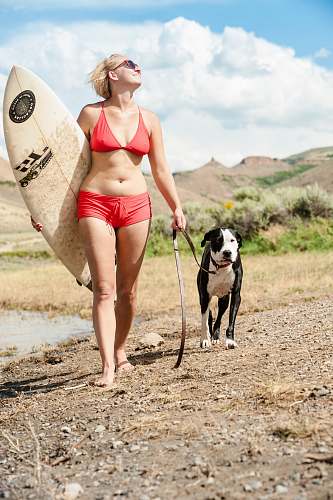 people woman walking on shore with dog person