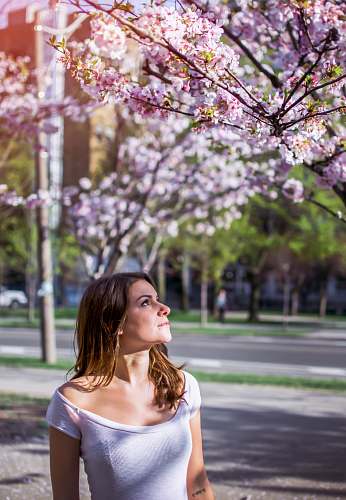 people woman wearing pink top looking at pink flowering tree person
