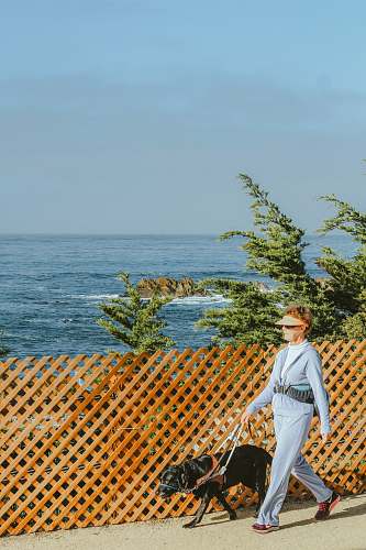 person woman with dog walking beside lattice fence people