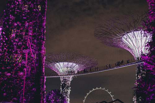 light  singapore