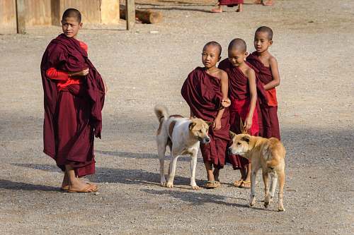 person four boys wearing red thobes with two dogs on road monk