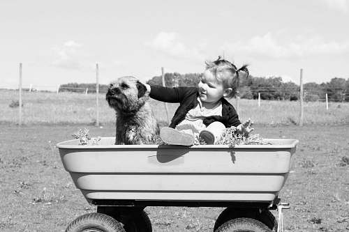 black-and-white girl holding puppy on wagon toy dog