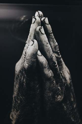 human grayscale photography of praying hands person