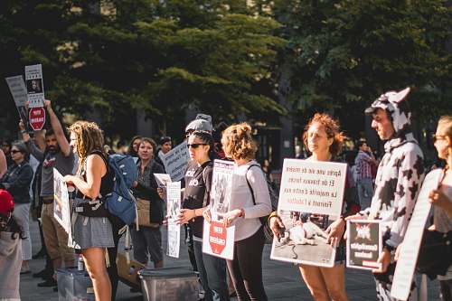 human group of people protesting during daytime person